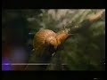 TVP 1 Blok Reklamowy 30 06 2011