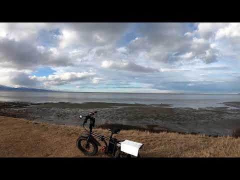 RadMini Electric Folding Fat Bike - Morning Ride