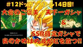 【ドッカンバトル♯１２】待望の初ガシャ♪初心者ファイターにはキャラの良し悪しが全くわからないけど、とにかく新キャラを下さい！良のゆる実況日記☆Dokkan Battle