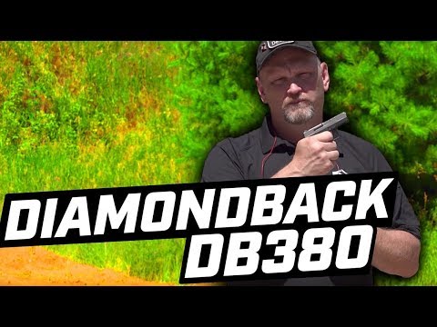 Diamondback DB380: Gun Vault