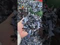 Recycle Old Clothes With Ease Oldclothesrecycle Oldclothesreuse Oldclothesshredder