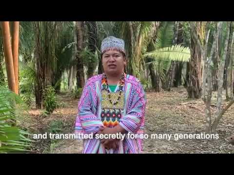 YouTube video