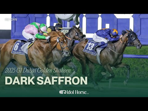 2025 G1 Dubai Golden Shaheen - Dark Saffron | Meydan | World Pool