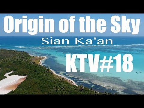 The BEST Riviera Maya tour - Wildlife in Sian Ka'an