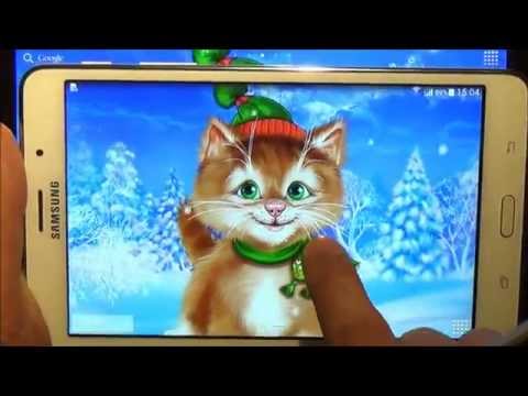 Winter Cat Live Wallpaper Video