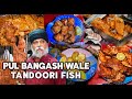 Tandoori Surmai Fish Egg Pakoda And Tandoori Chicken At Pul Bangash Wale Tilak Nagar