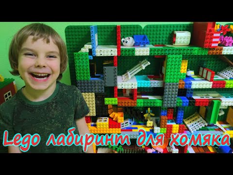 Хомяк проходит лабиринт из Лего/HAMSTER VS LEGO MAZE