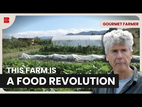 Fat Pig Farm Shows How Soil Regeneration Works | Gourmet Farmer | Documentary