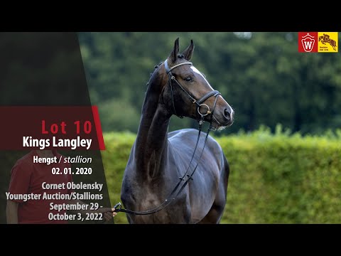 Cornet Obolensky Youngster Auction Lot 10 Kings Langley Hengst von Kannan - Captain Fire