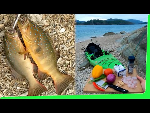 Solo Hootchie camping on mini island - Kayaking - Beach Shark fishing - Catch and Cook EP.523