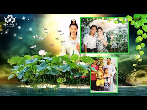 Giật mình con mất mẹ - Trịnh Tuấn Vỹ