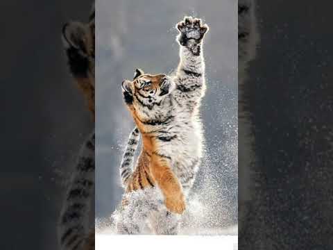 Denkt euch was aus mir egal