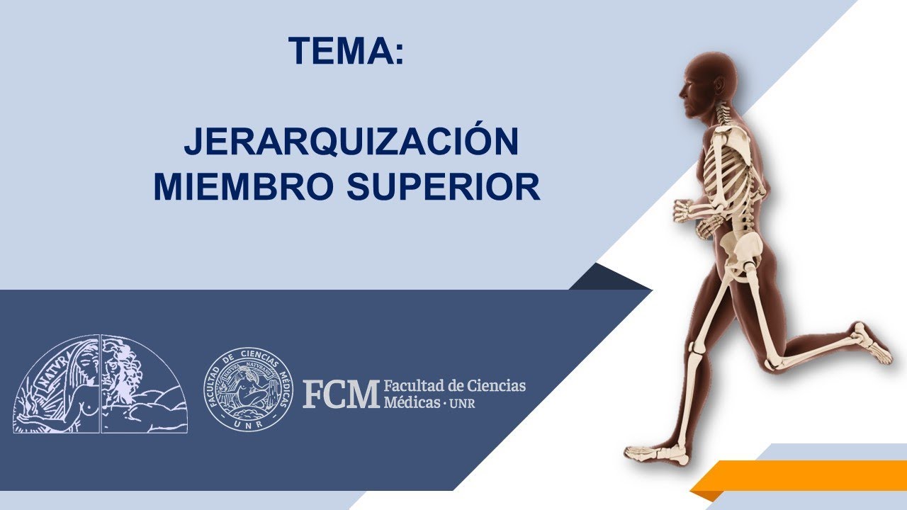 Jerarquización: Miembro Superior. Actividad sincrónica.