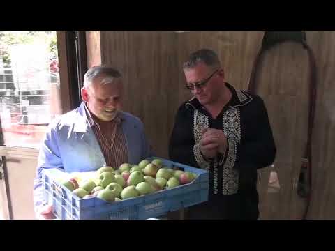 Vizită la familia Gîrba, satul Sânnicoară, comuna Apahida, Cluj,  fabrica GVI Prest (31.10.2021)