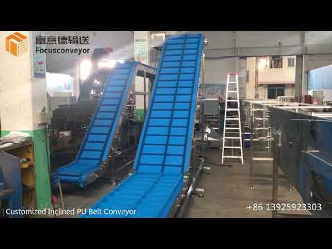 Customized Inclined Double Line PU Belt Conveyor