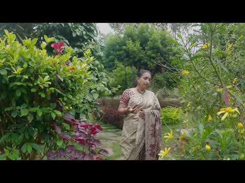 Dhava Vibho | Aishwarya Shankar | A Tribute a MS Subbulakshmi