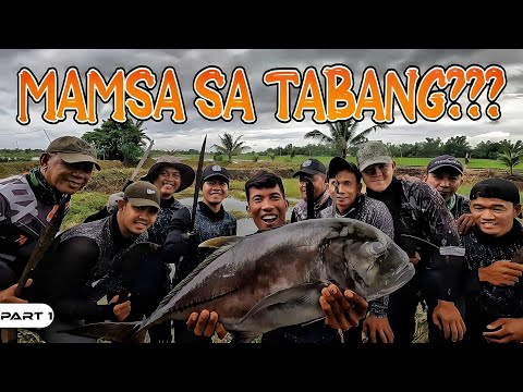 P1-Paghahanda ng Palaisdaan - EP1041