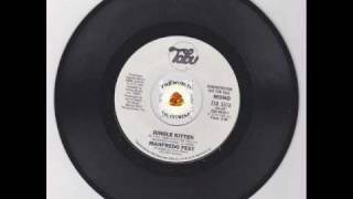 MANFREDO FEST - JUNGLE KITTEN