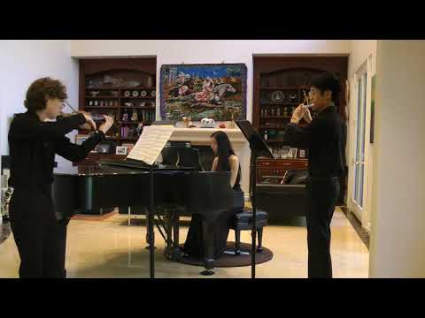 Martinu Sonata for Flute, Violin and Piano