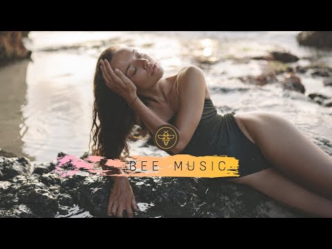 DJ Stephan Sarkissian -Temperatura | Deep House Music | [No Copyright Music]