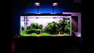 Icelandic Aquascape &amp; Full Tank Tear Down Step By Step