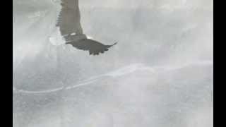 A Journey into Time Immemorial