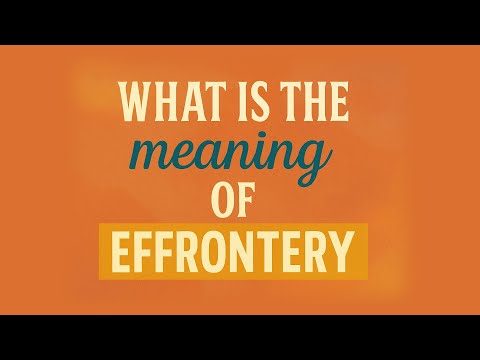 What is the meaning of Effrontery?