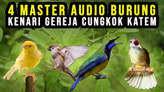 Download lagu 4 MASTER JEDA KENARI GEREJA CUCAK CUNGKOK KATEM | Ganti per 5 Menit. mp3
