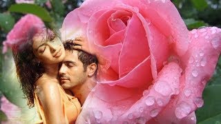 Die Flippers --  Herzen brauchen Zärtlichkeit