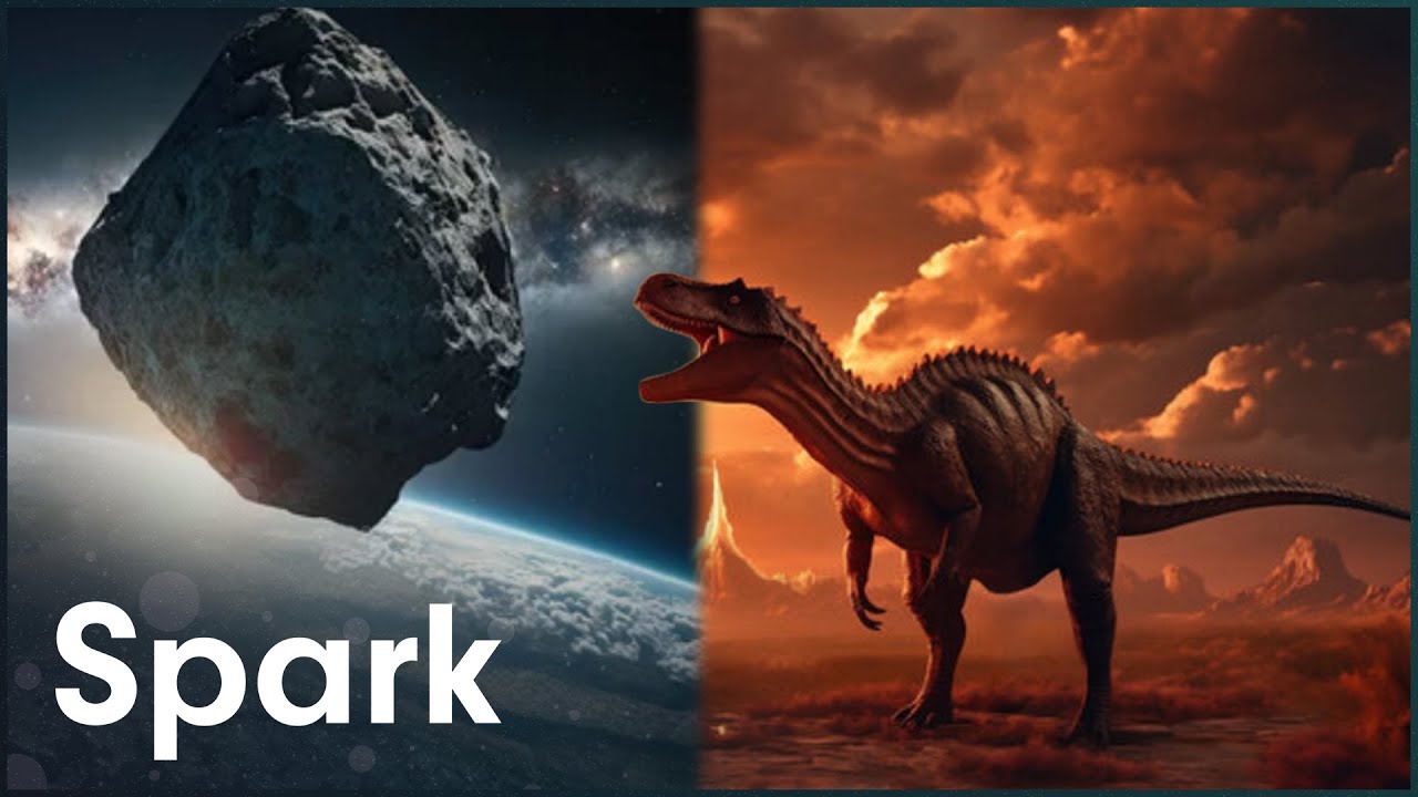 The History Of Earth's Five Mass Extinction Events [4K] | The Next Great Extinction Event | Spark