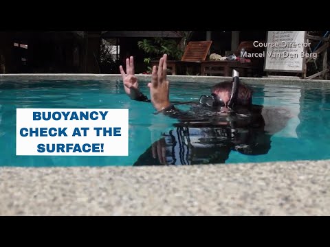 Buoyancy Check Surface - PADI Open Water Diver Course • Scuba Diving Tips
