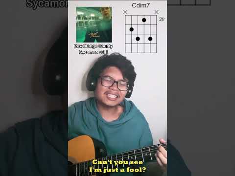 Sycamore Girl - Rex Orange County