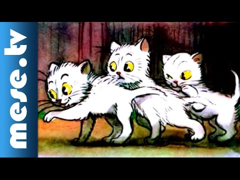 Vlagyimir Szutyejev: A három kiscica (mesefilm, animáció) | MESE TV