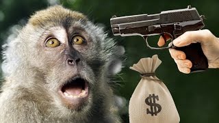 MONKEY MURDER - 1 Dollar 1 Hour Gameplay