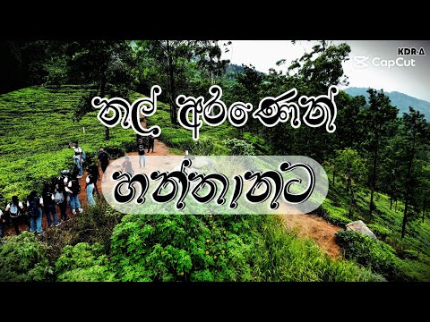 Hanthana Hike – Exploring Kandy’s Hidden Heights “හන්තාන” 🇱🇰⛰️🍃