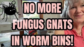 No More Fungus Gnats in Worm Bins!!