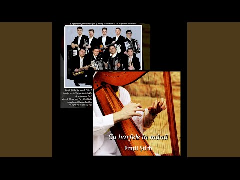 Ai promis vei reveni