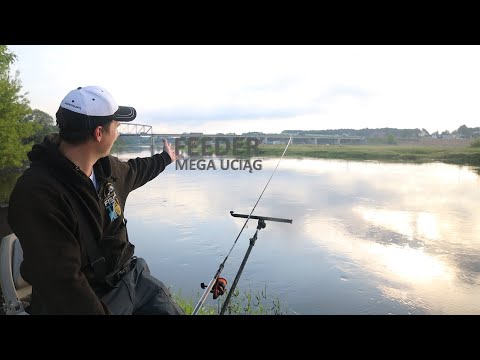 FEEDER IN MEGA PULL - WARTA RIVER