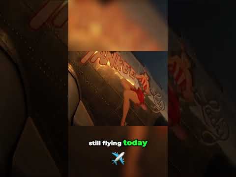 B-17 Flying Fortress Yankee Lady: A Stunning Restoration | The Restorers #stashWar&Military