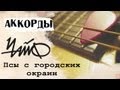 ЧАЙФ - Псы с городских окраин (COVER) 