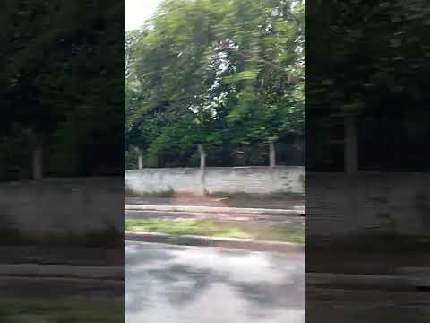 Passear Na Rua No Carro Do Varzea Grande Mato Grosso