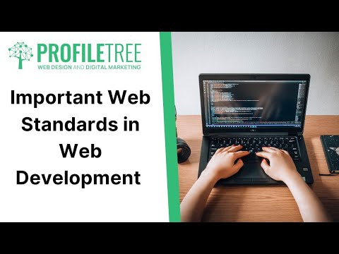 W3C Recommendation: The Backbone of Web Standardization