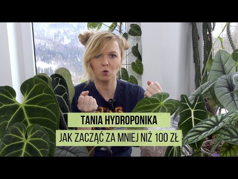 , title : 'Hydroponika za mniej niż 100 zł, czyli jak zacząć i co kupić?'