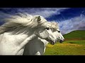 Music by David Arkenstone ♪ Ride Into Midnight