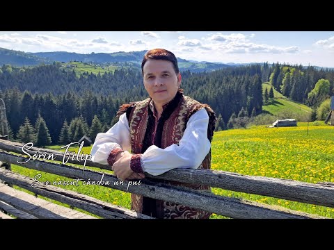 Sorin FIlip - S-o născut cândva un pui  (Official Video) NOU