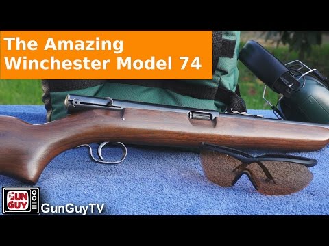 Winchester SXR2 Review