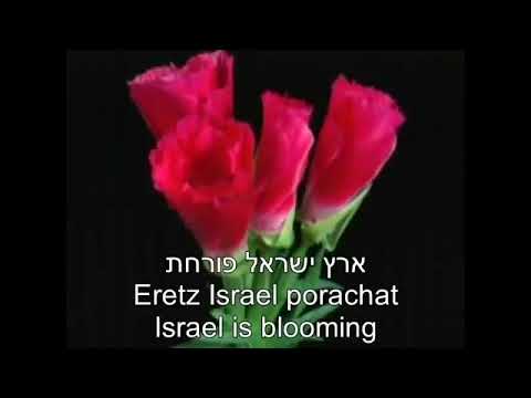 Eretz Yisrael Yafa