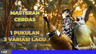 Download lagu #14 MASTERAN MURAI BATU ISIAN CILILIN, PELATUK, KAPAS TEMBAK DOMINAN TEMBAKAN TAJAM mp3