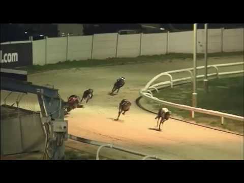 2018 WILLIAM HILL GREAT NORTH RUN - HEAT 1 - T2 MINNIES HIGHWAY