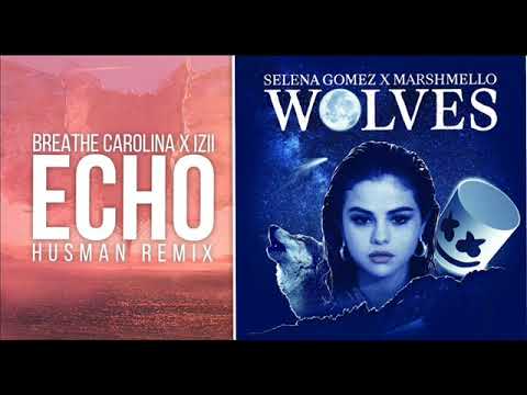Breathe Carolina x IZII   Echo VS Selena Gomez, Marshmello   Wolves